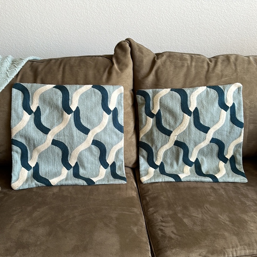West Elm Ivory Aqua Helix Embroidered Crewel Pillow Covers